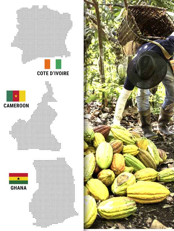 Cargill Cocoa and Chocolate – Cote d’Ivoire, Cameroon, Ghana-SourceTrace