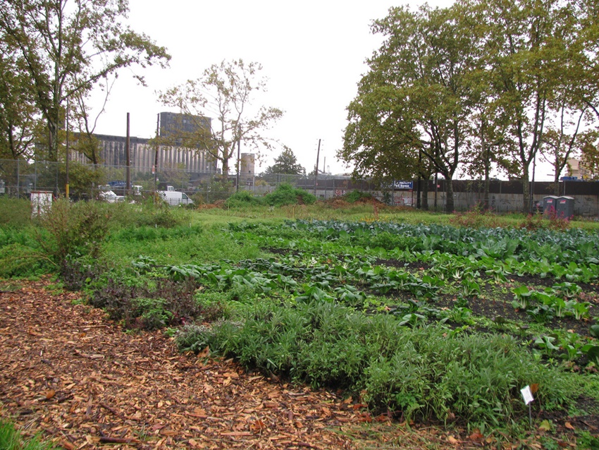 Urban-agriculture