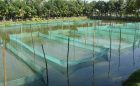 Aquaculture in river deltas-SourceTrace