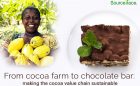 Cocoa farm to chocolate
