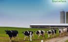 Data driven Dairy development
