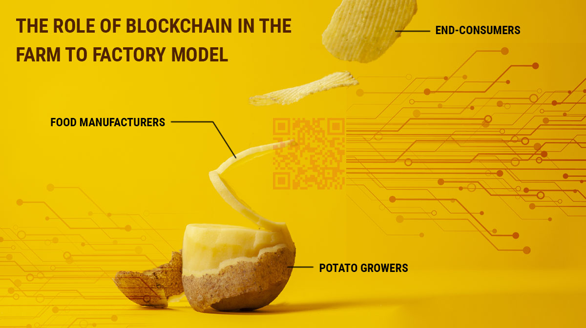 Understand the Farm to Factory Model of the Potato Supply Chain