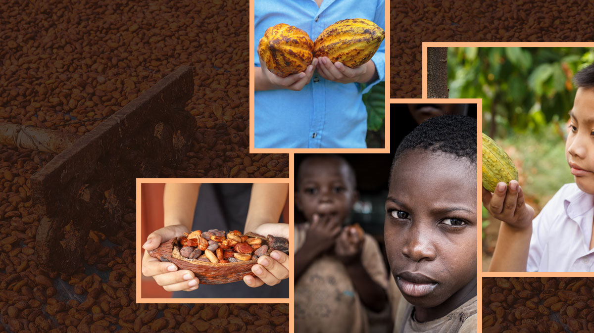 Can Chocolate companies use Blockchain to Eradicate Slavery In The Chocolate Industry?