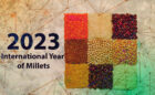 International Year Of Millets